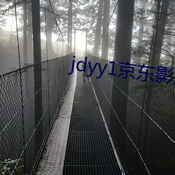 jdyy1京(京)东影(影)业