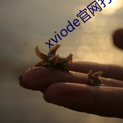 xviode官网打不开(開)了(了)