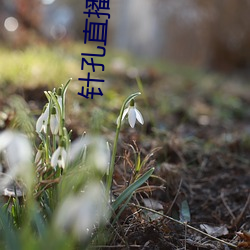 尊龙凯时(官网)人生就是博!