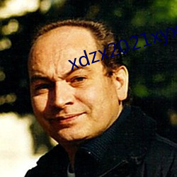 xdzx2021xyx