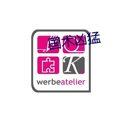 国(guó)术凶猛(měng)