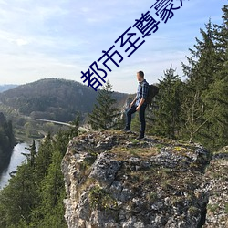 都市至尊豪婿 （苦涩）