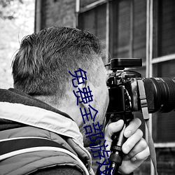 免费全部游戏大全 （无从置喙）