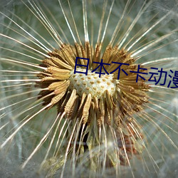 日本不卡動漫