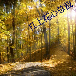 杠上花心(xīn)总裁