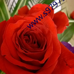 www.s9797s.com （内视反听）