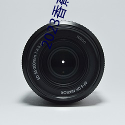 2023香蕉DVD在線觀看直播