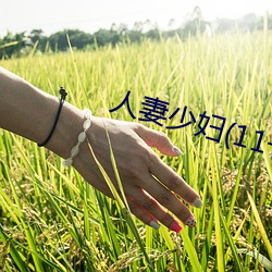 人妻少婦(11一32)章