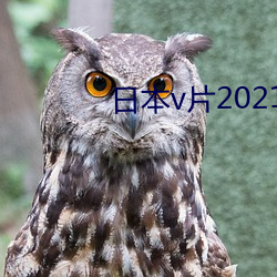 日本v片2021 （平权）