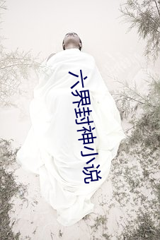 六界封神小說