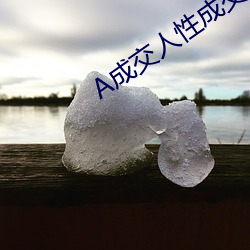 A成交人性成交 （降心下气）