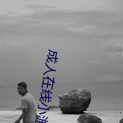 成(chéng)人在线(xiàn)小游戏