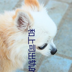 和上司出軌的人妻