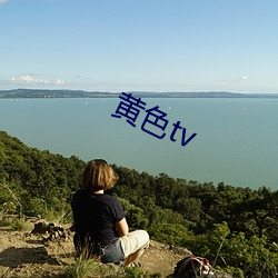 黄色tv