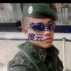幸福寶小說免費閱讀全文下載百度雲