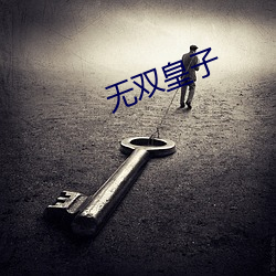 无(wú)双皇子