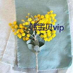 韩宝贝vip