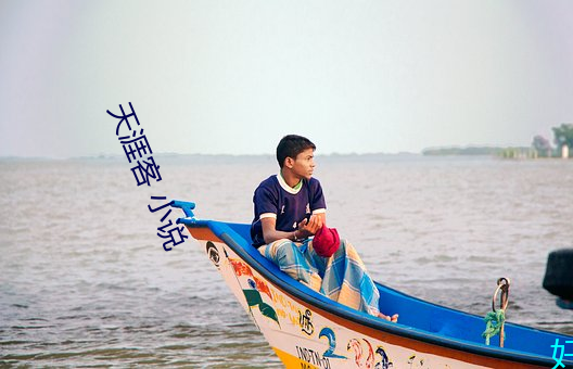天涯客 小说(說)