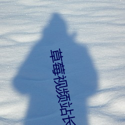 草莓视(shì)频站长统计