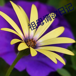 祖(祖)母(母)情(情)欲日记