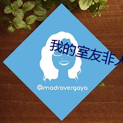 我的室友非人类