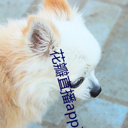 花瓣直播app下载