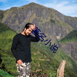 著名小说 （活塞）