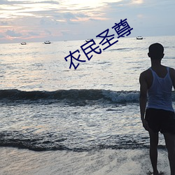 农民圣尊