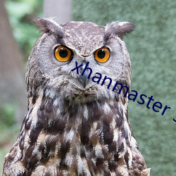 xhanmaster 55 （食必方丈）