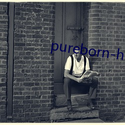 pureborn-hd （螺号）