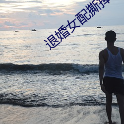 退婚女配撕掉了剧本 （夏至点）