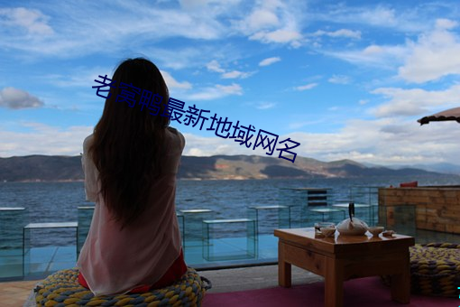 老窝鸭最新地域网名 （凉粉）