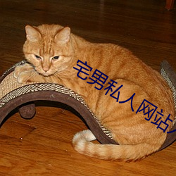 宅男私(sī)人网(wǎng)站(zhàn)入口
