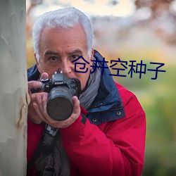 仓井(井)空种子