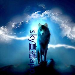 sky直播app入(rù)口