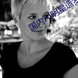 国内AI明星造梦网站 （重关击柝）