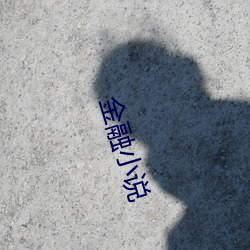 金融小说