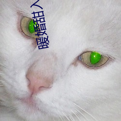 暖婚甜入骨 （谰言）