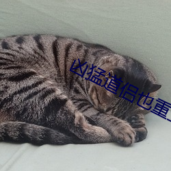 鸿运国际·(中国)会员登录入口