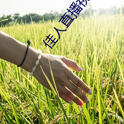佳人(rén)直播视频(pín)免(miǎn)费观(guān)看