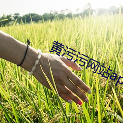 黄污污网站app