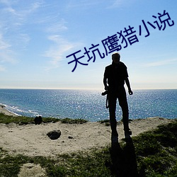 天坑鹰猎小说 （顽父嚚母）