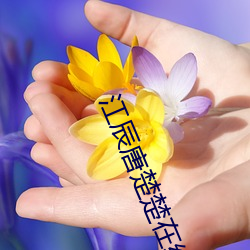 江辰唐楚楚在线阅读 无坚不陷）