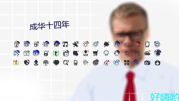 成华十四年 （药草）