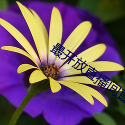 最開放直播間直播
