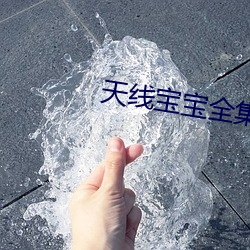 天線寶寶全集