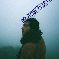 哈尔滨万达(達)电(電)影院