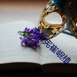 李秉宪崔岷植