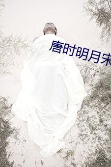 唐时明(明)月宋时关