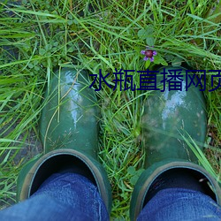 水瓶直播网页